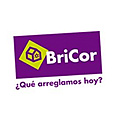 Bricor